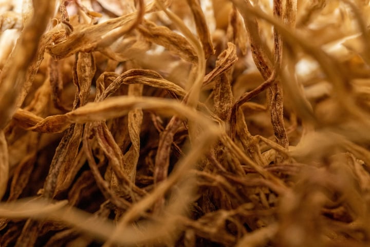 El poder del Ginseng y los fermentos: por qué la cosmética coreana los usa en casi todo